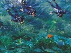 海上三合一