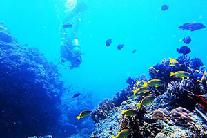 墾丁-藍洞平台體驗潛水-