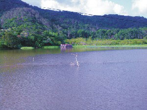 東源湖(哭泣湖)