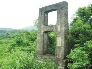 里德橋(賞鷹)
