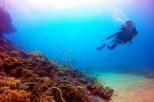 墾丁-藍洞平台體驗潛水-
