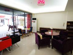 三義藝術村櫻花渡假會館-三義藝術村櫻花渡假會館