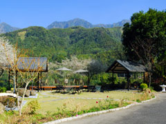 溪頭聽濤園渡假山莊-溪頭聽濤園渡假山莊