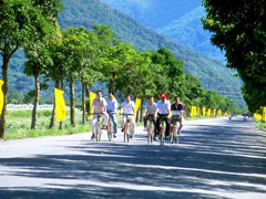 台糖池上牧野渡假村-台糖池上牧野渡假村