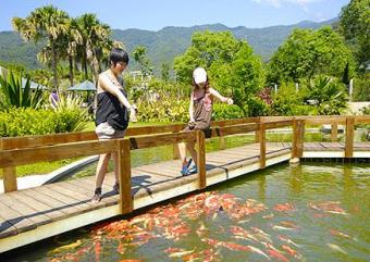 台東鹿野21國際渡假村-台東鹿野21國際渡假村
