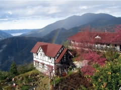 清境茲心園山莊-清境茲心園山莊