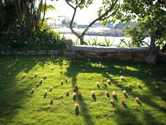 東港福灣莊園villa-福灣莊園villa