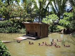 東港福灣莊園villa-福灣莊園villa