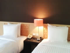 力麗哲園飯店-月潭館