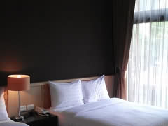 力麗哲園飯店-月潭館