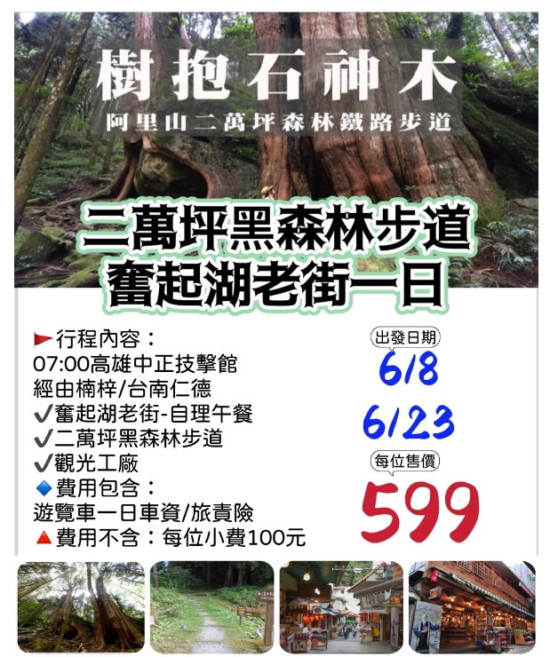 【嘉義】 二萬坪步道黑森林步道一日遊