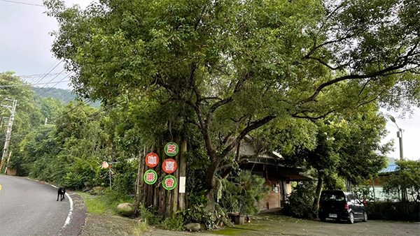 給自己自由，東山暖心之旅